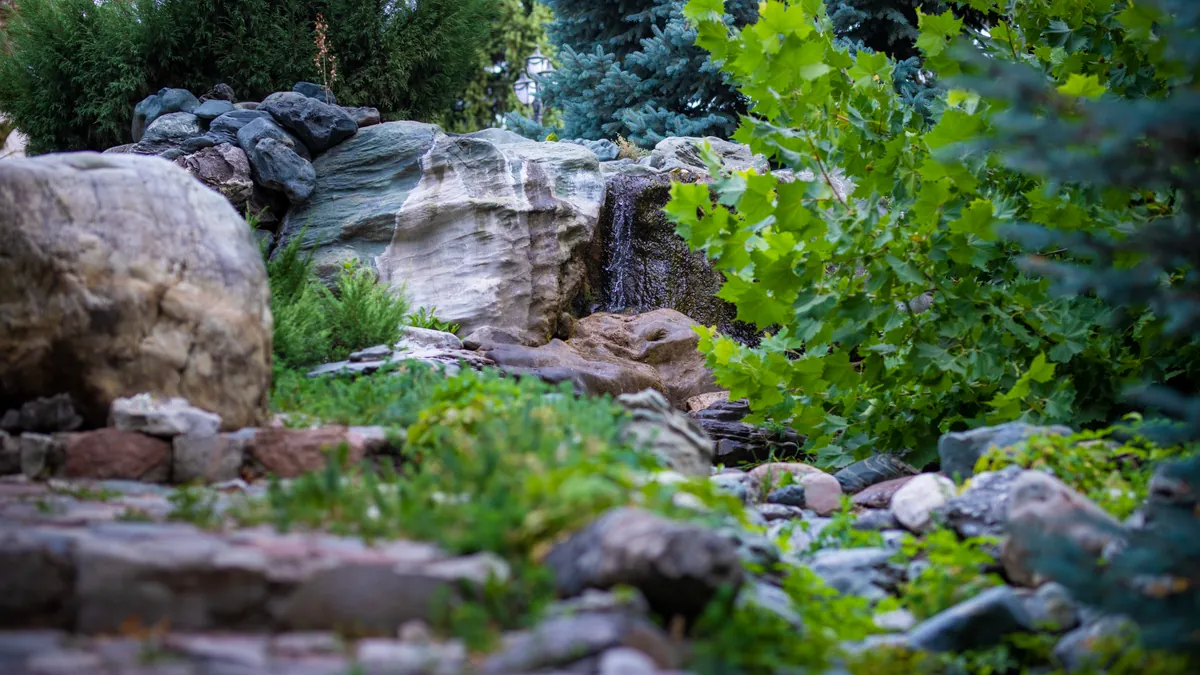 Территория клиники 10