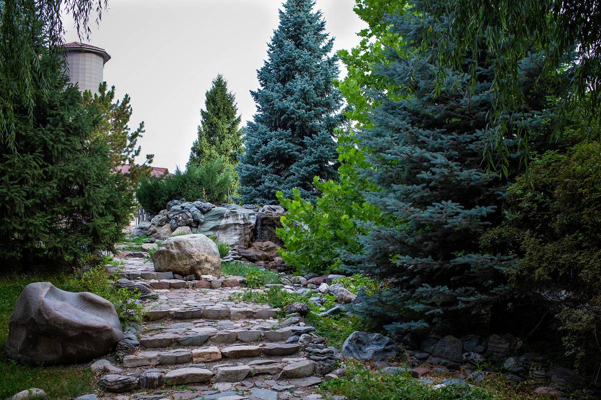 Center & Treatment Process — 7