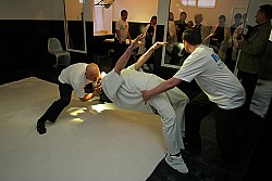 Stress Energetic Psychotherapy (SEPT) — фото 3