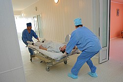 Stress Energetic Psychotherapy (SEPT) — фото 7